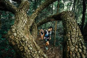 BIB: 
                            <button type="button" onclick="openModal(25393096)" class="btn btn-primary btn-sm float-right btn-popup" data-toggle="modal" data-target=".modal-high-quality">
                        <i class="fas fa-shopping-cart"></i> Add to Cart
                    </button>
                                            <button type="button" onclick="isThisMe(25393096, true)" class="btn btn-success btn-sm float-right btn-popup btn-isme hidden" data-toggle="tooltip" data-placement="bottom" title="นี่คือรูปของคุณใช่ไหม คลิกที่นี่เพื่อเอาเข้าอัลบั้ม">
                        <i class="fas fa-plus"></i> Add to album
                    </button>
                    <button type="button" onclick="isThisMe(25393096, false)" class="btn btn-warning btn-sm float-right btn-popup btn-isnotme hidden">
                        <i class="fas fa-ban"></i> Remove from album
                    </button>